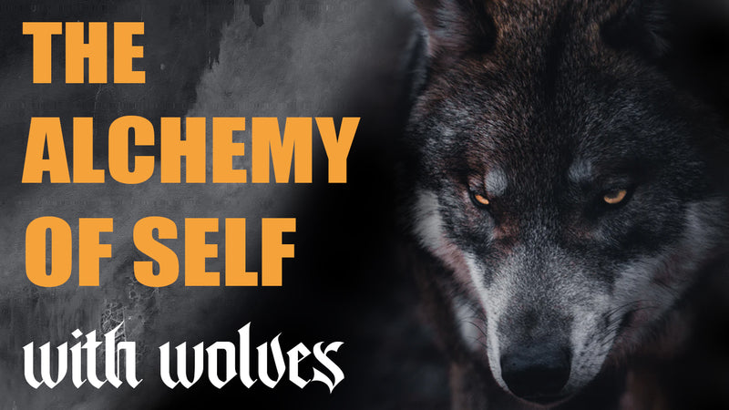 THE ALCHEMY OF SELF
